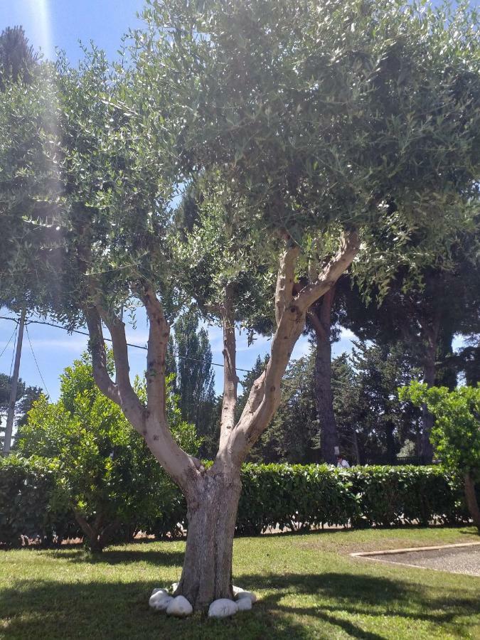 Villa Vittorio Infernetto Εξωτερικό φωτογραφία