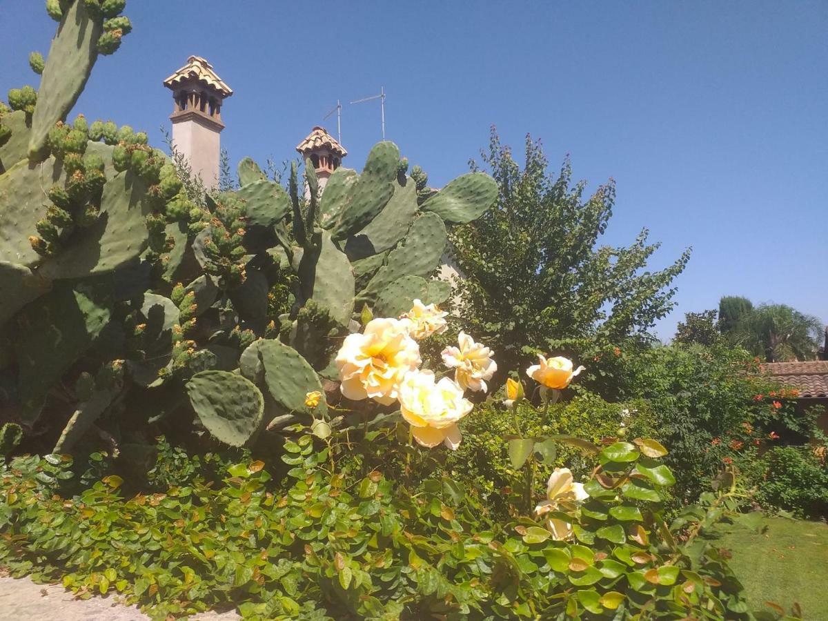 Villa Vittorio Infernetto Εξωτερικό φωτογραφία